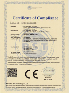 MJ EMC WALL WASH LIGHT CERTIFICATE